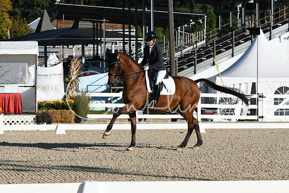 HSM_5393