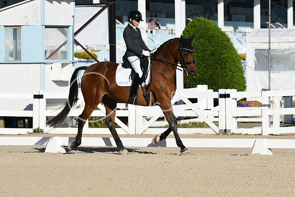 HSM_5403