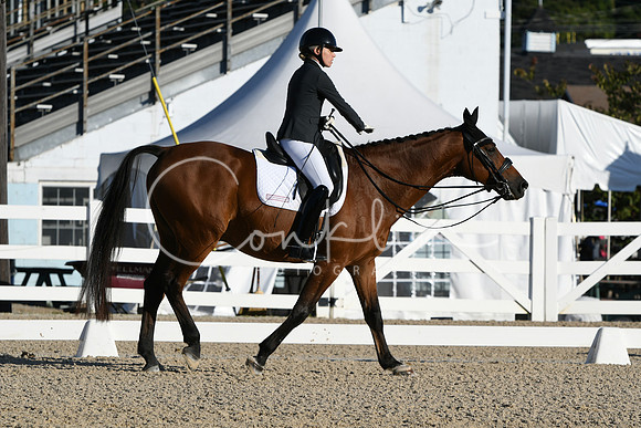 HSM_5422