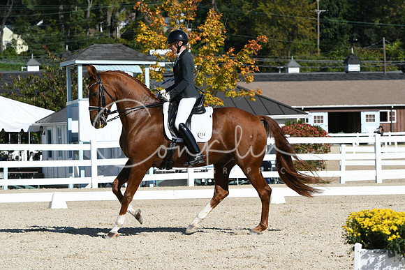 HSM_6538