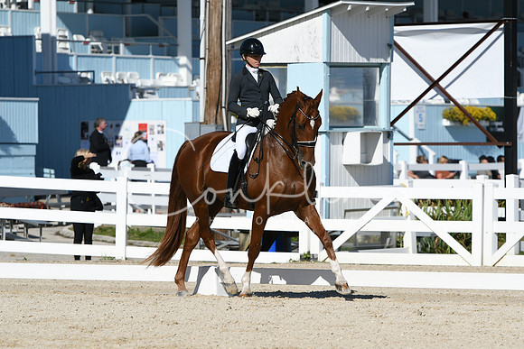 HSM_6556