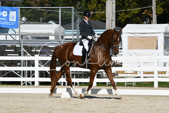HSM_6562