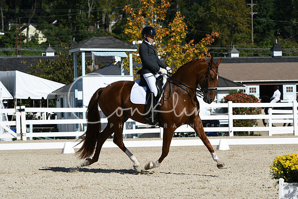 HSM_6566