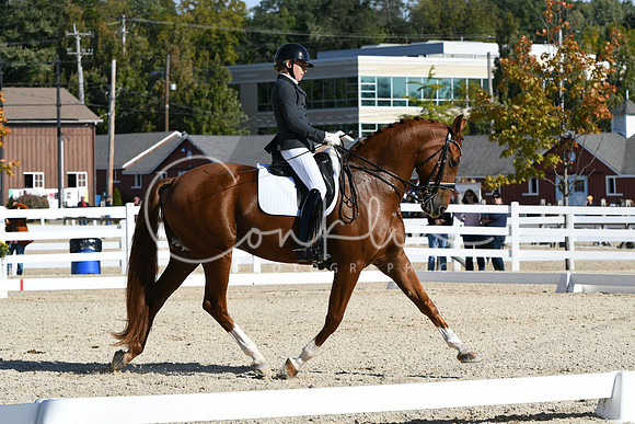 HSM_6571