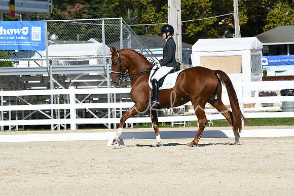 HSM_6598