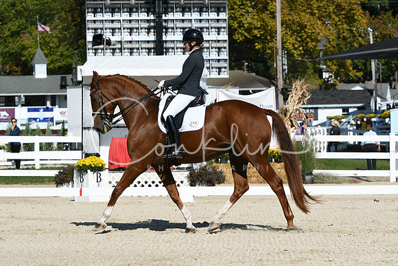 HSM_6633