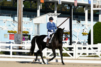 HSM_5184