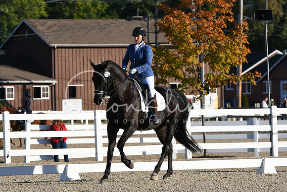 HSM_5223