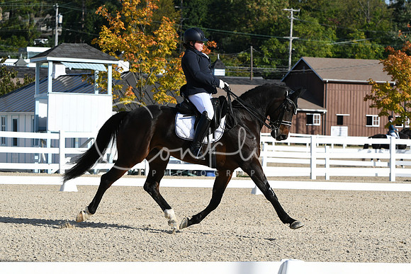 HSM_5851