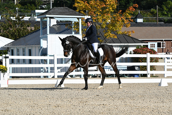 HSM_5881