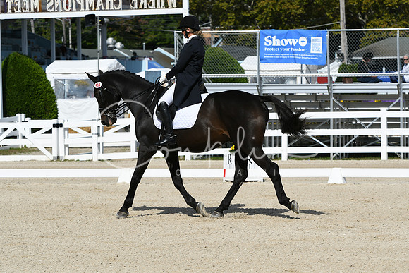 HSM_7066