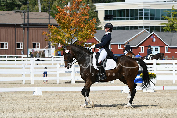 HSM_8470