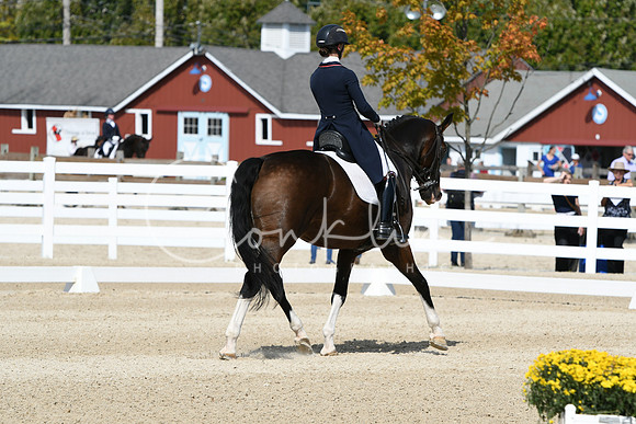 HSM_8494