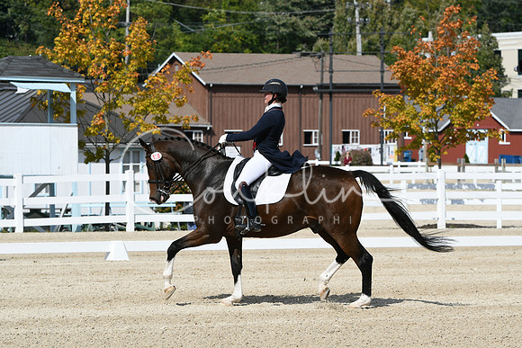 HSM_8496