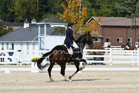 HSM_8541