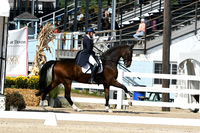 HSM_8138