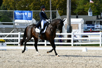 HSM_9419