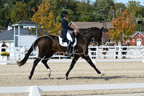 HSM_9423