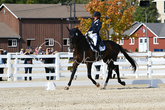 HSM_9428