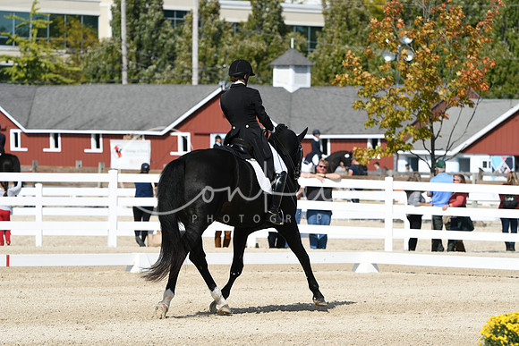 HSM_8915