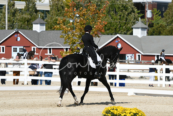 HSM_8917