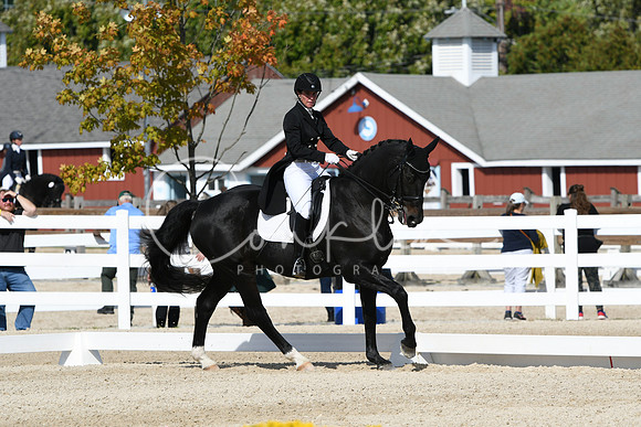 HSM_8929