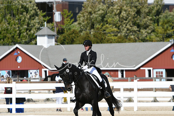 HSM_8931
