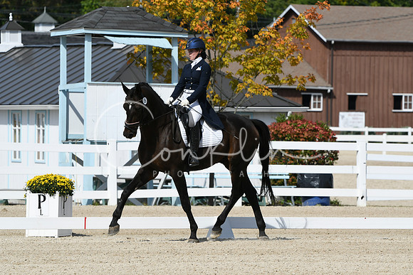 HSM_8268