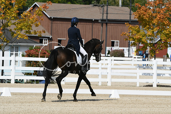 HSM_8290