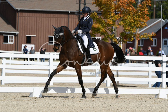HSM_7168