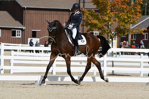 HSM_7169