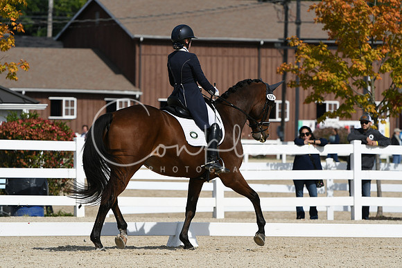 HSM_7191