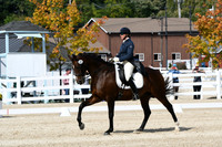 HSM_8785