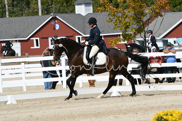 HSM_8819