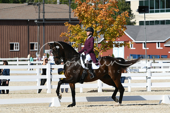 HSM_9312