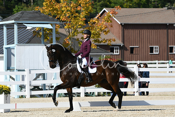 HSM_9313
