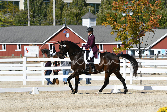 HSM_9321