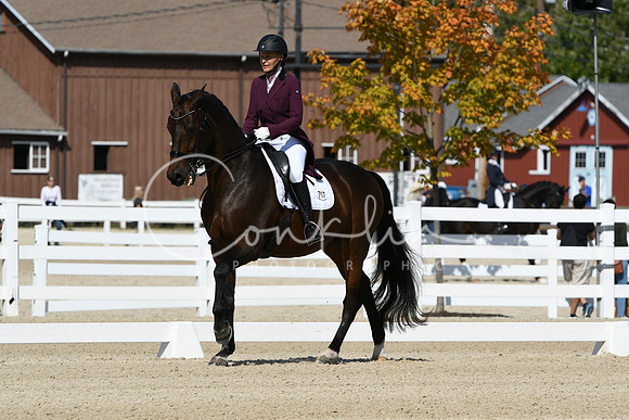 HSM_8047