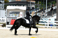 HSM_7704
