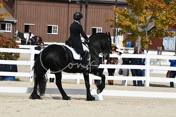 HSM_7728