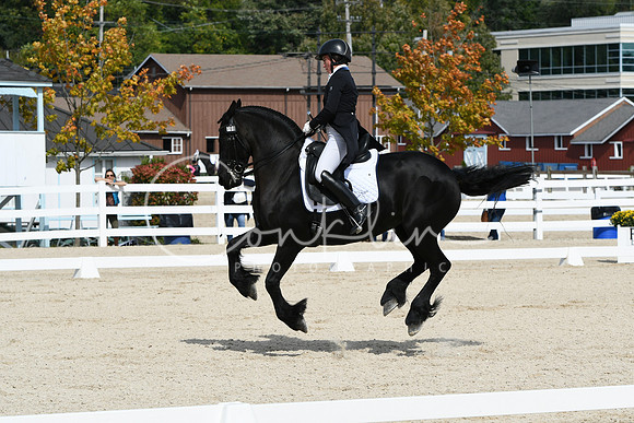 HSM_7741