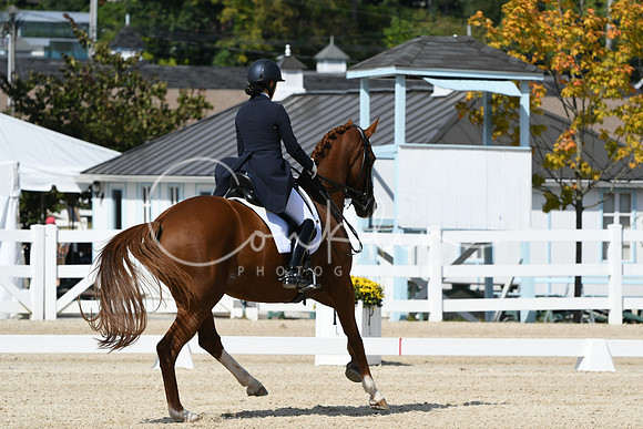 HSM_8391