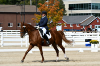 HSM_8580