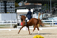 HSM_8597