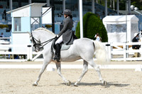 HSM_7811