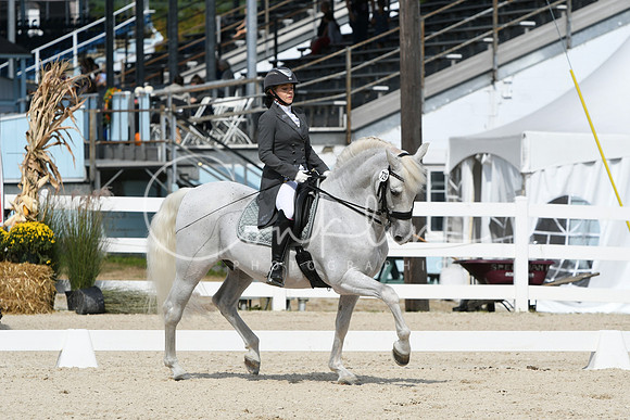 HSM_7828