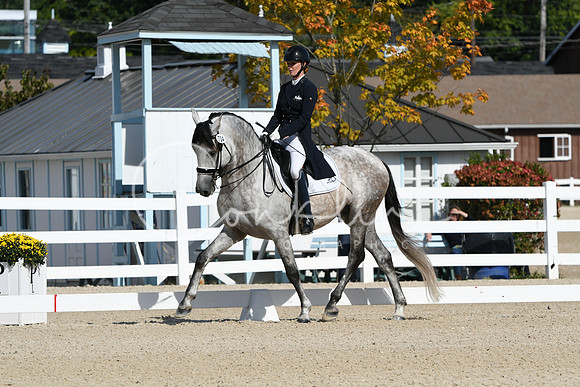 HSM_6972