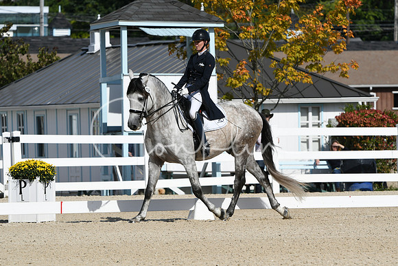 HSM_6973