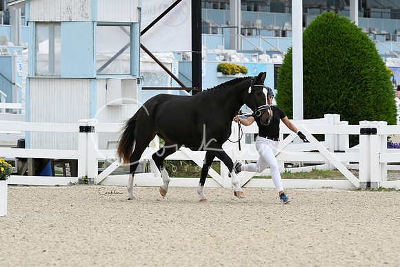 HSM_1583-1