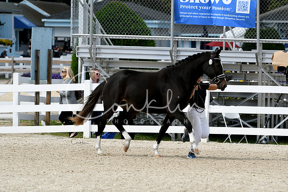 HSM_4721-1